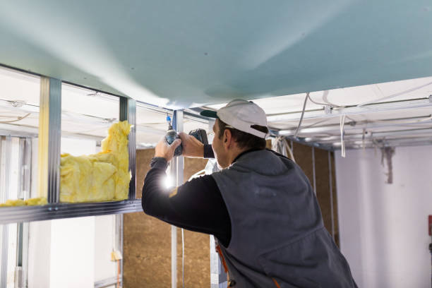 Best Residential Insulation in Palm Harbor, FL