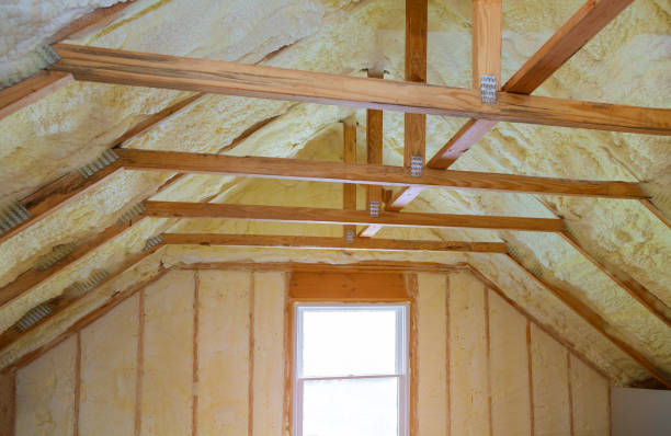 Best Spray Foam Insulation in Palm Harbor, FL