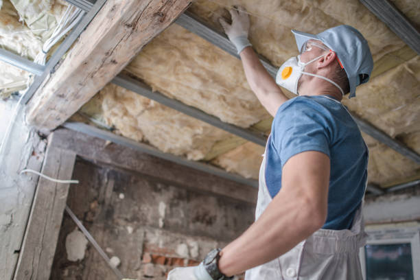  Palm Harbor, FL Insulation Contractor Pros