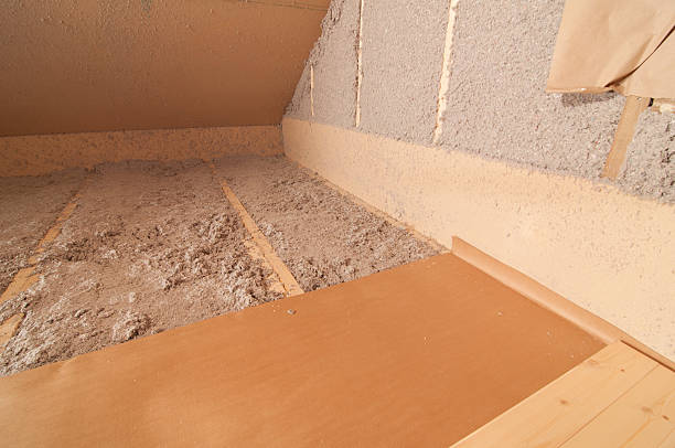 Best DIY Insulation Kits and Guidance in Palm Harbor, FL