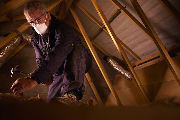 Best Specialized Insulation Services in Palm Harbor, FL